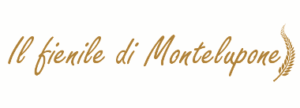 Ilfieniledimontelupone